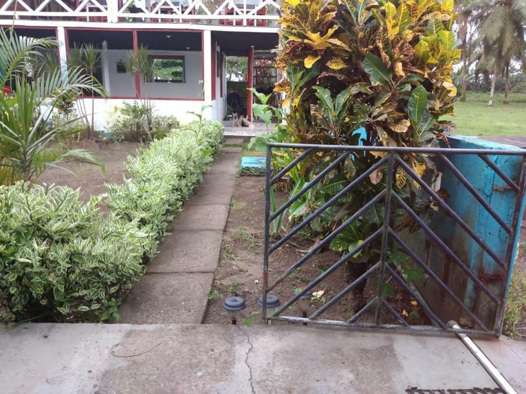 Cabinas Miss Miriam 2 Tortuguero Exterior foto